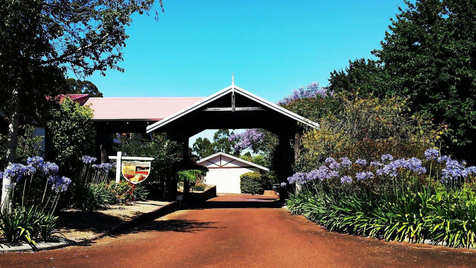 Karri Forest Motel Pemberton Luaran gambar